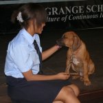 Career Week
